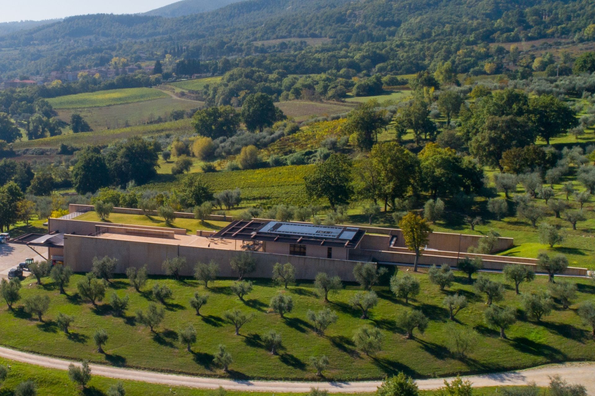 Local ambassador stories: Giovanni Bulgari, San Casciano dei Bagni